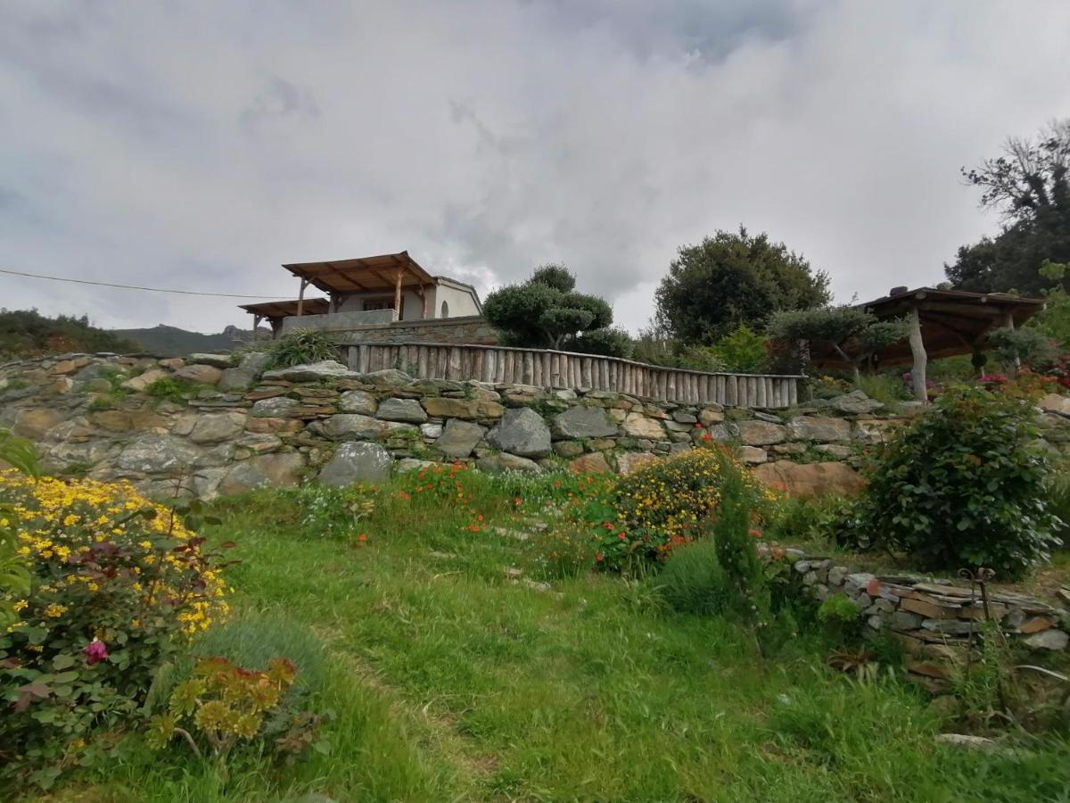 Logement De Charme Avec Piscine Privative Pino Экстерьер фото