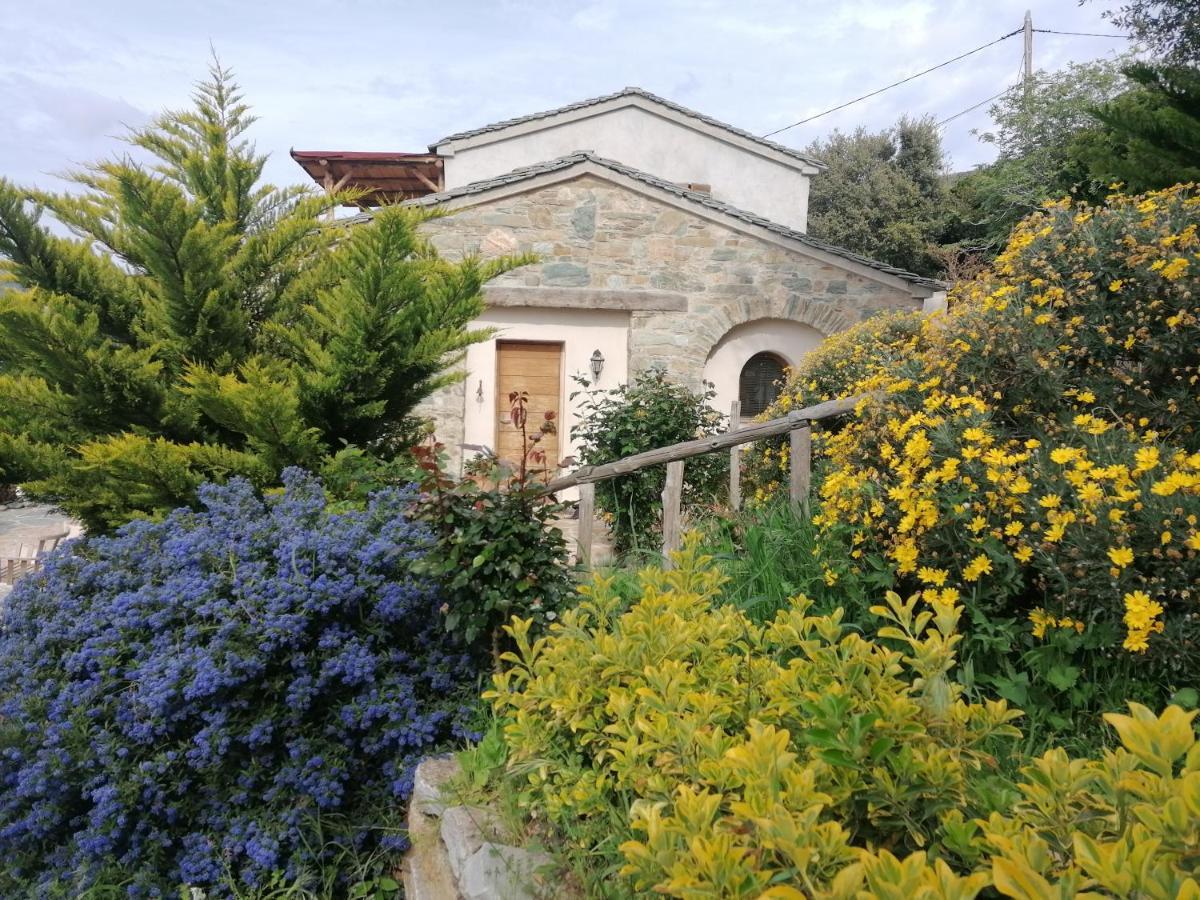 Logement De Charme Avec Piscine Privative Pino Экстерьер фото